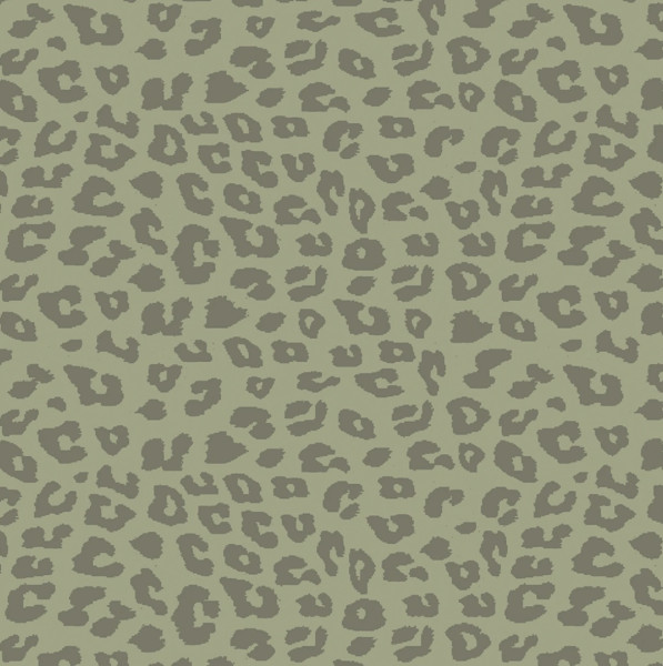 Safari adventure