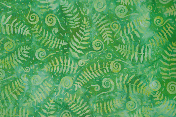 Tropical-Fern