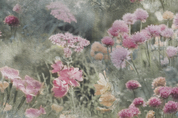Dandelion Wishes