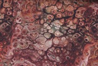 Surf Brown Surf Brown