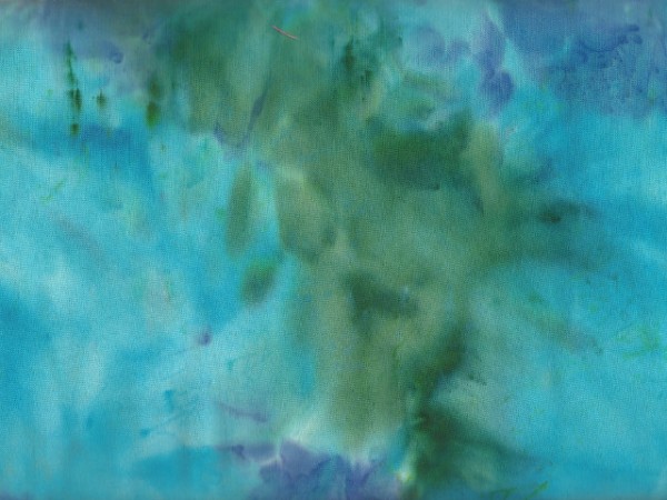 Delphinium