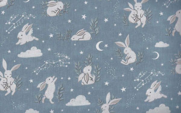 Bunny Dreams