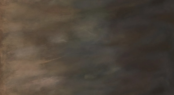 Sky-Bizon