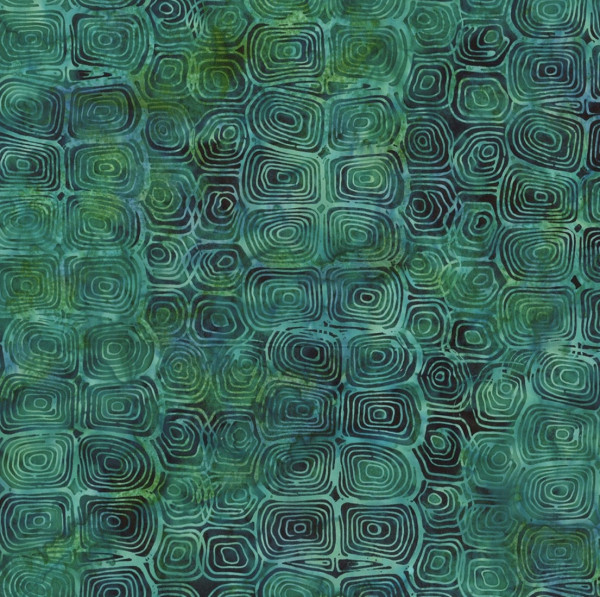 Jade Jelly Fish/ Nur noch ca.1,7 m vorhanden