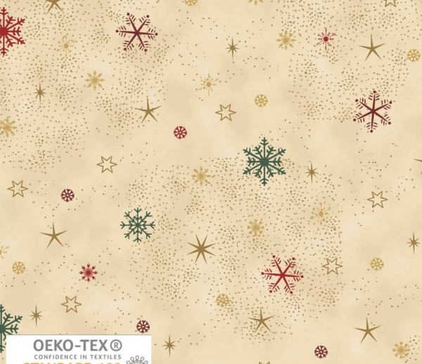 Frosty Snowflake