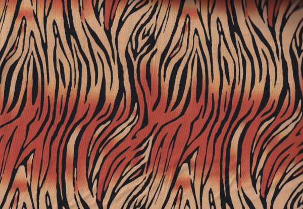 On Safari Tiger