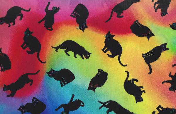 Rainbow Cat