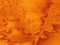 Squash 3018-460