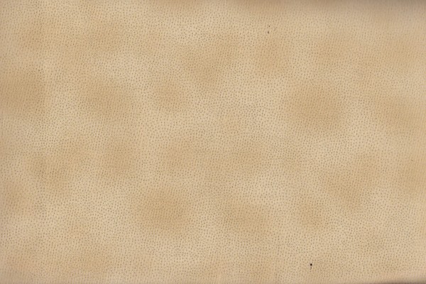 Christmas Wonder Beige mit goldenen Punkten