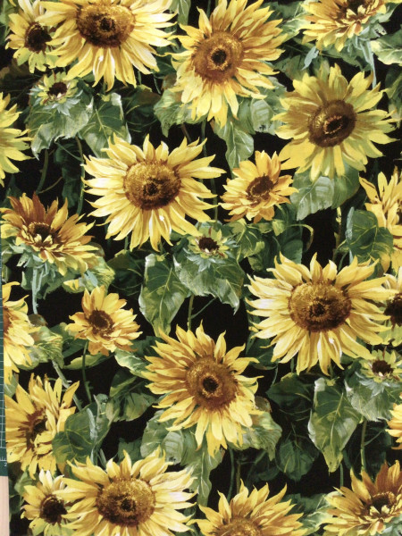 Sonnenblumen