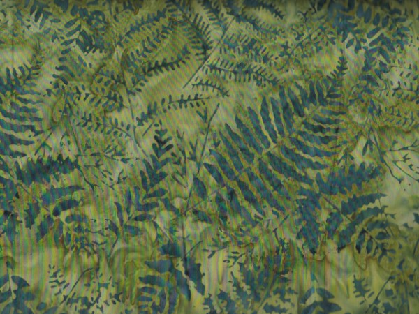 Spruce