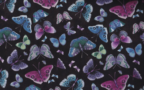Midnight Garden