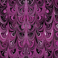 Needlestars Fuchsia Needlestars Fuchsia