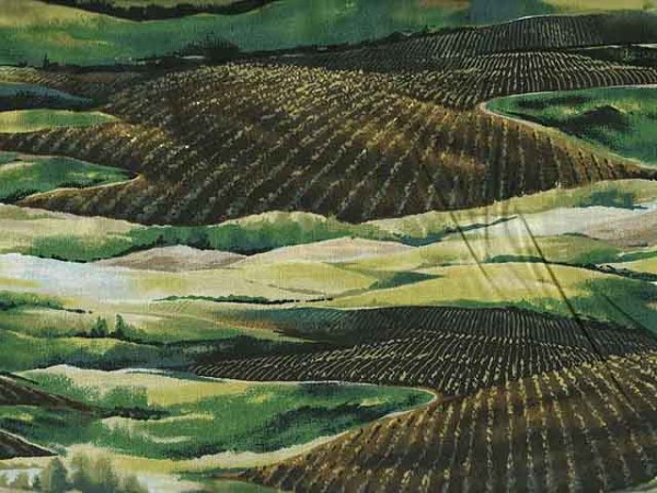 Vineyard