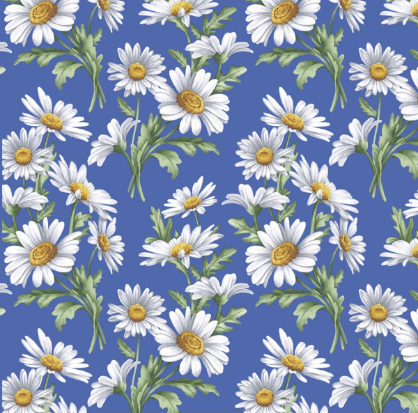 Margeriten/ Blue