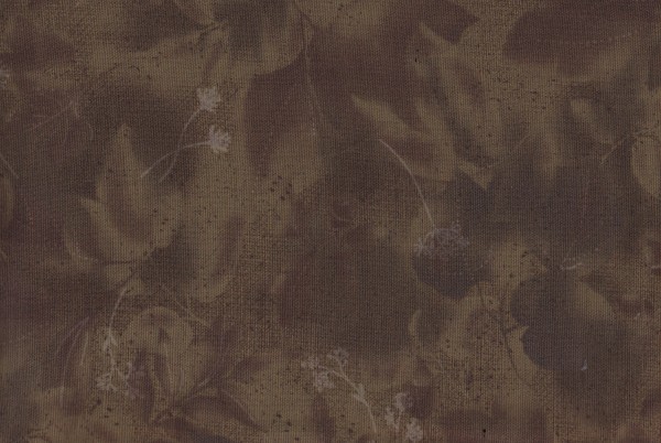 Centenary Collection/Yoko Saito