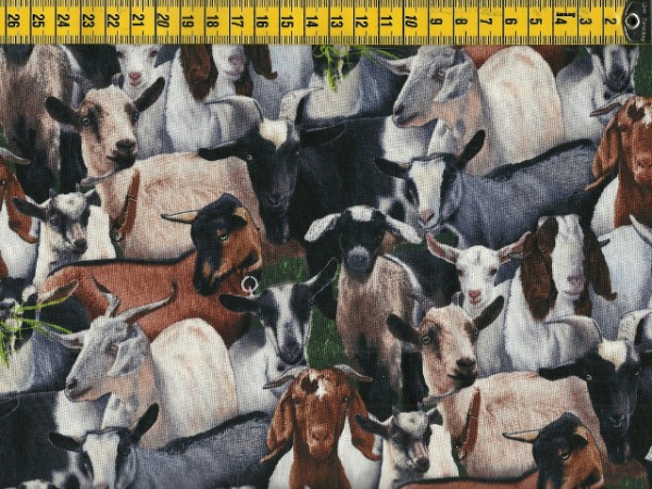 Black Farm Animals