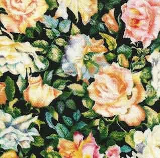 Late Summer Flowers
