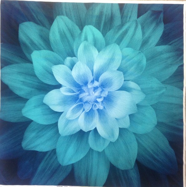 Dream Big Teal