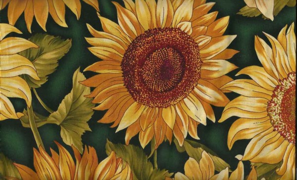 Flower Show