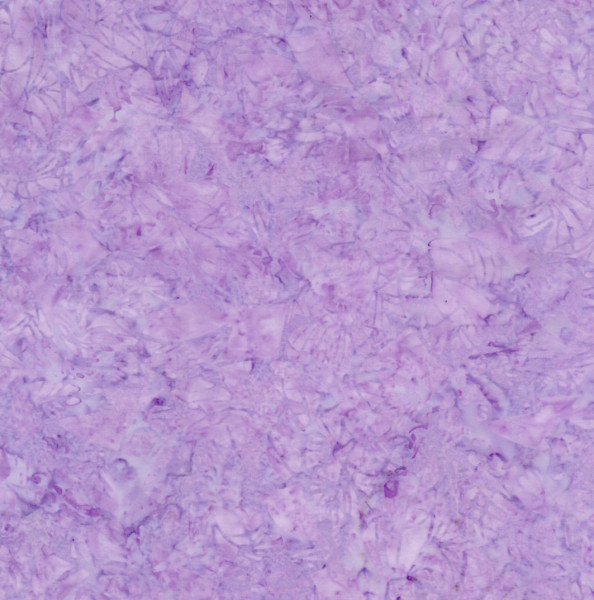 Tonga Lilac