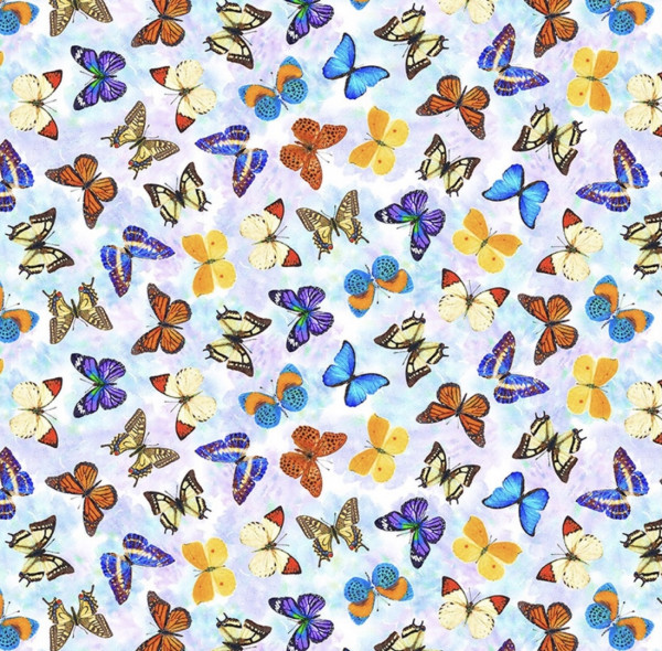 Schmetterlinge