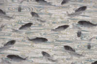 Imperial Coll. Dusty Blue-Koi Imperial Coll. Dusty Blue-Koi