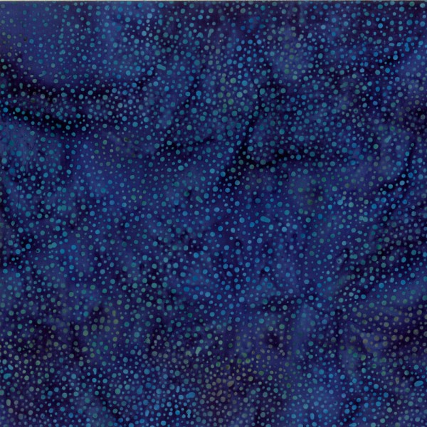 3019-005