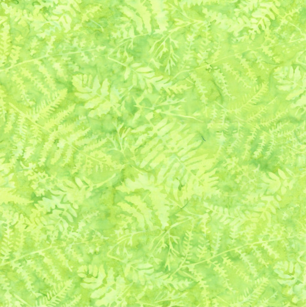 Tonga Lime