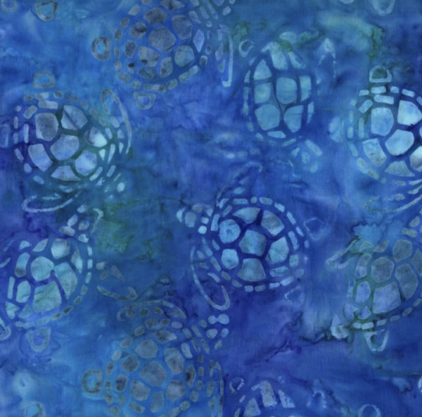 Sea Turtles