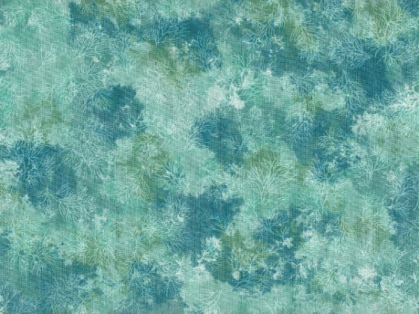 Aqua Fusions