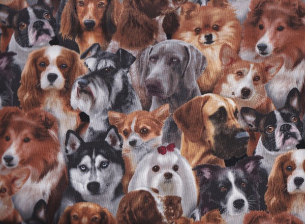 Dog Breeds Black