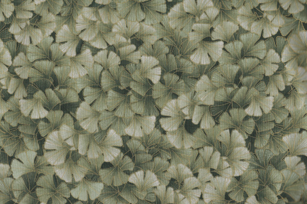 Ginkgo