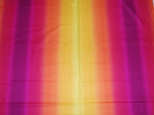 Fuchsia Sunshine