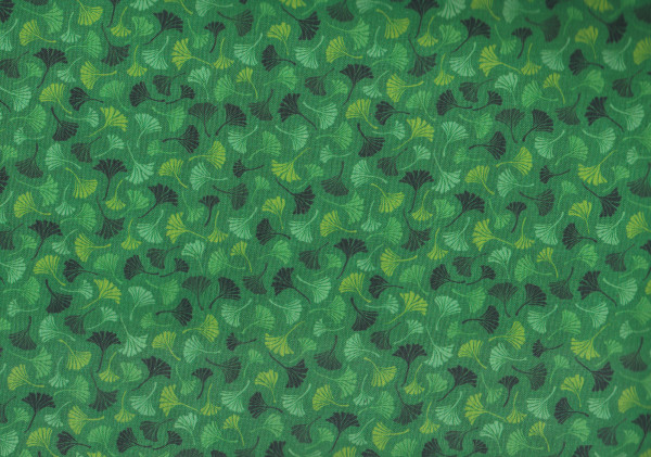 Ginkgo