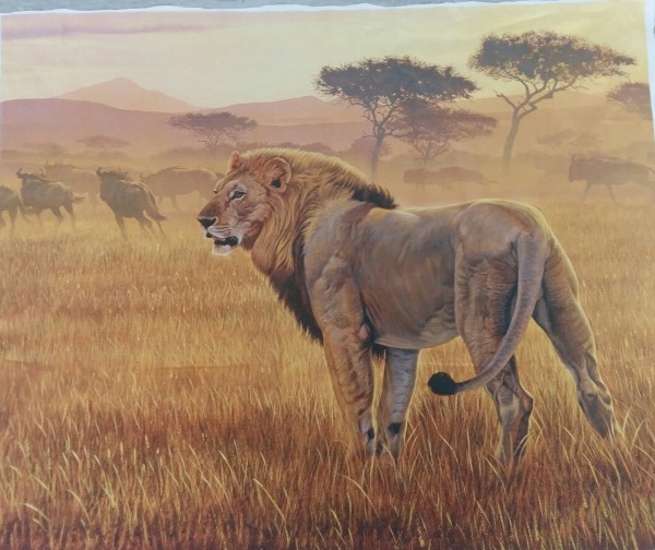 On Safari Löwe