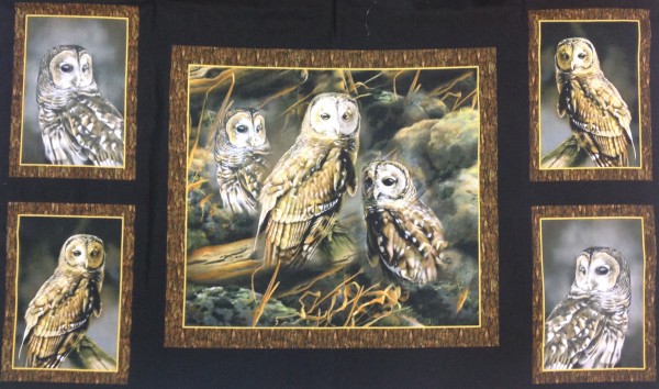 Nocturnal Wonders Owls Panel