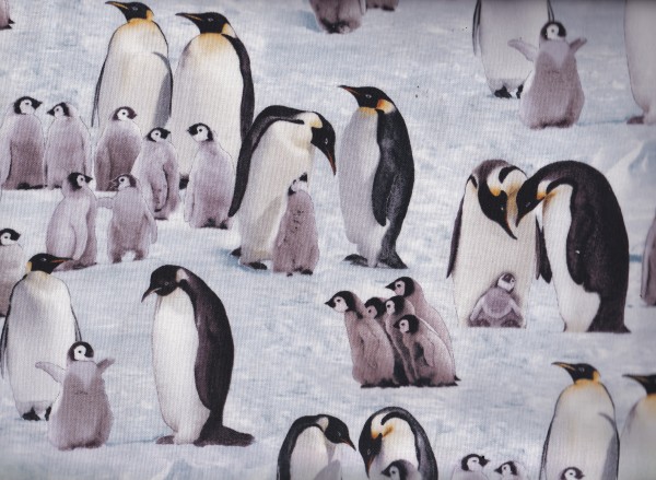 Emperor Penguins