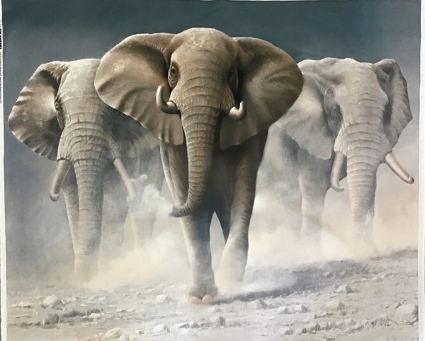 Elefant Panel