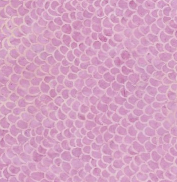 Tonga Lilac