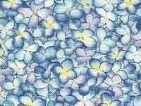 Blooms