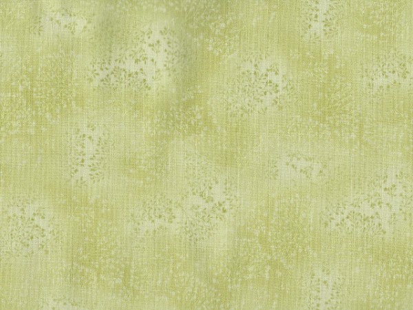 Morning Grass/Fusions