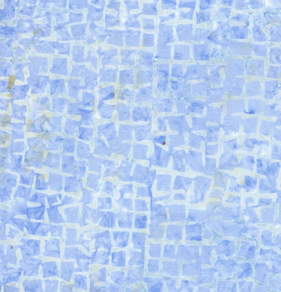 Tonga Ocean