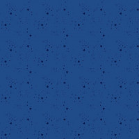 Kitty Litter-Airforce Kitty Litter-Airforce