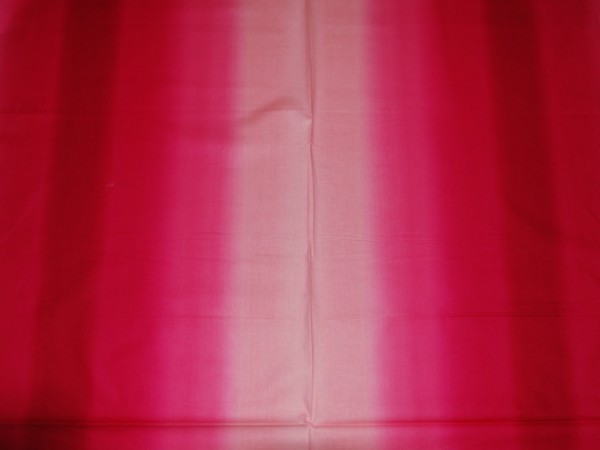 Gradations Red Rose