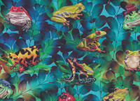 Jewels of the Jungle Jewels of the Jungle