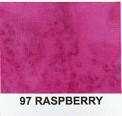 1895-97 Raspberry