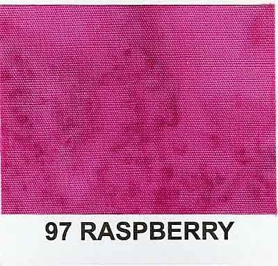 1895-97 Raspberry