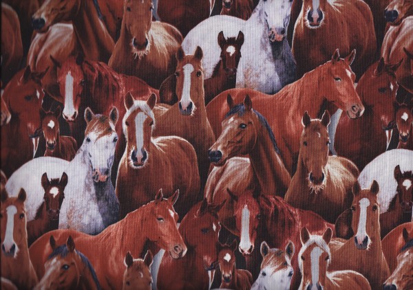 Farm Animals - Pferde